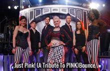 images/Band Archiv/Just_Pink.jpg